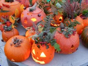 Dýňování s rodiči